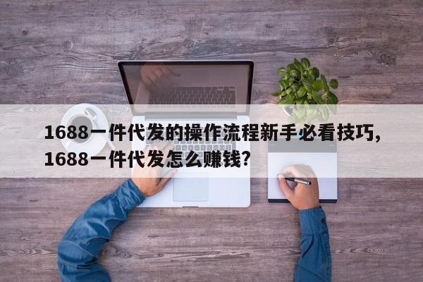1688一件代发的操作流程新手必看技巧,1688一件代发怎么赚钱?